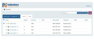 netdocshare-screenshot-01