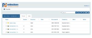 netdocshare-screenshot-02