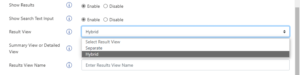 Hybrid-Result View