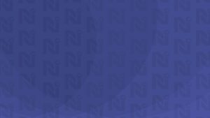 netDocShare-Custom-bg-2