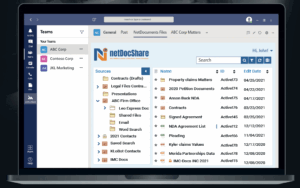 netDocshare-co-authoring